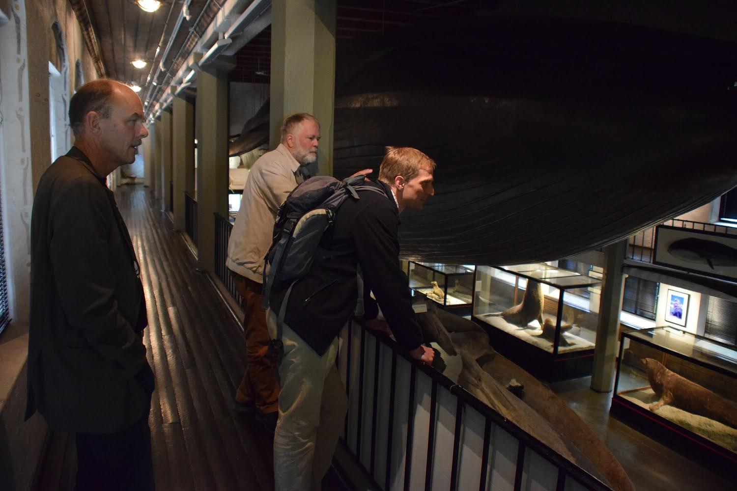 A guided tour of the Sandefjord Whaling Museum, with Stig Tore Lunde.