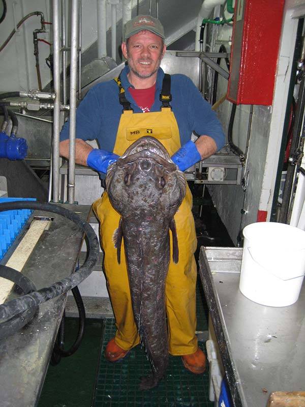 Dr Mark Belchier holds a Patagonian toothfish.