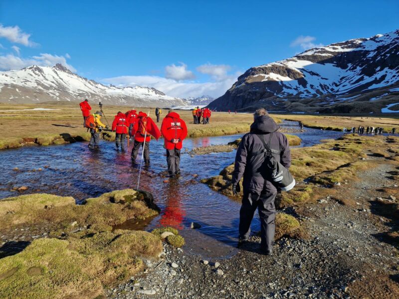 Image for the Tweet beginning: The Commissioner of South Georgia