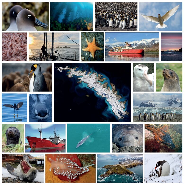 Image for the Tweet beginning: 📢 We’ve published the new